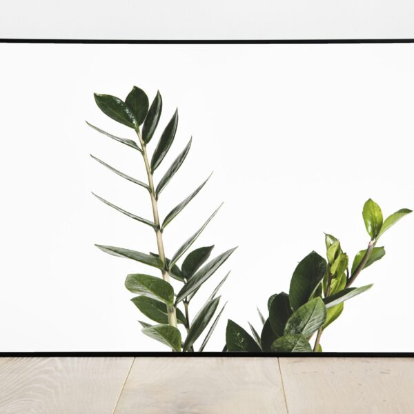 No Image Sulgvõhk lehed