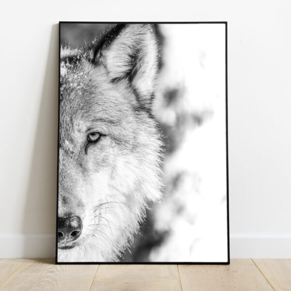 No Image Loomad-Hunt