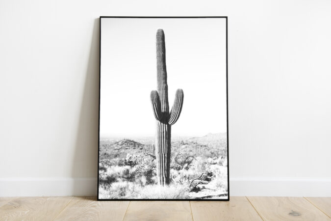 Kaktus kõrbes