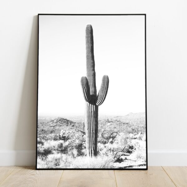 No Image Kaktus kõrbes