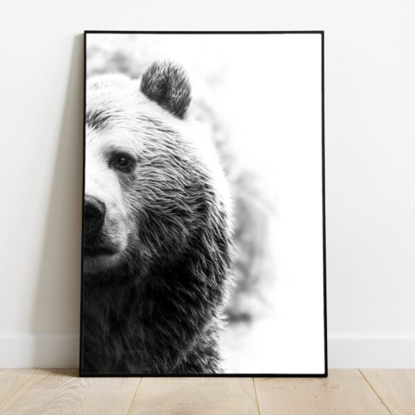 No Image Loomad-Karu