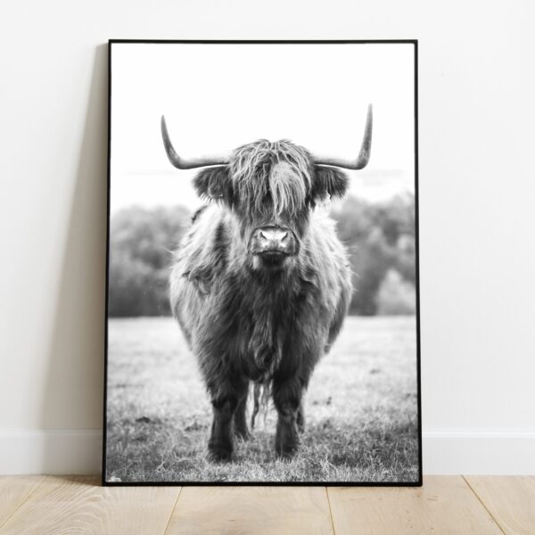 No Image Loomad-Pull