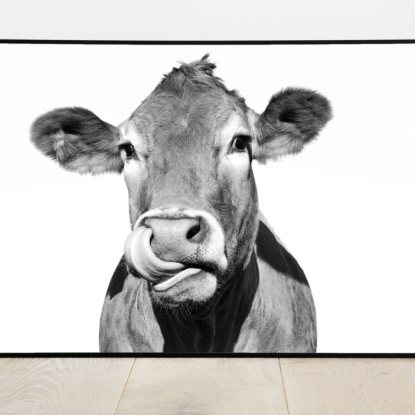 No Image Loomad-Lehm