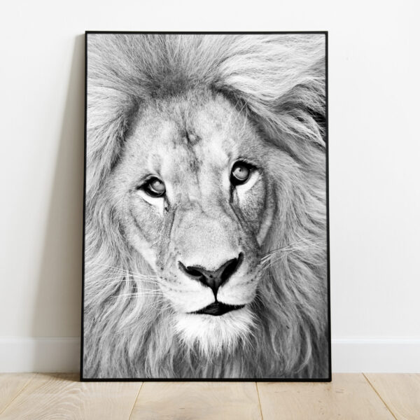 No Image Loomad-Lõvi