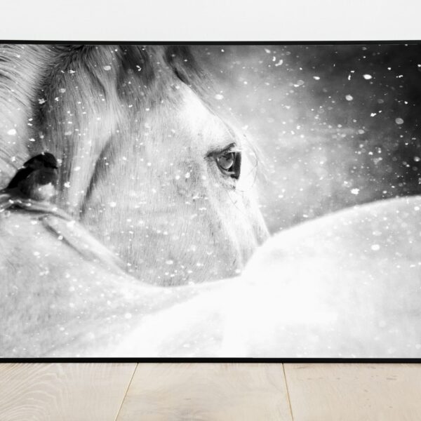 No Image Loomad-Valge hobune