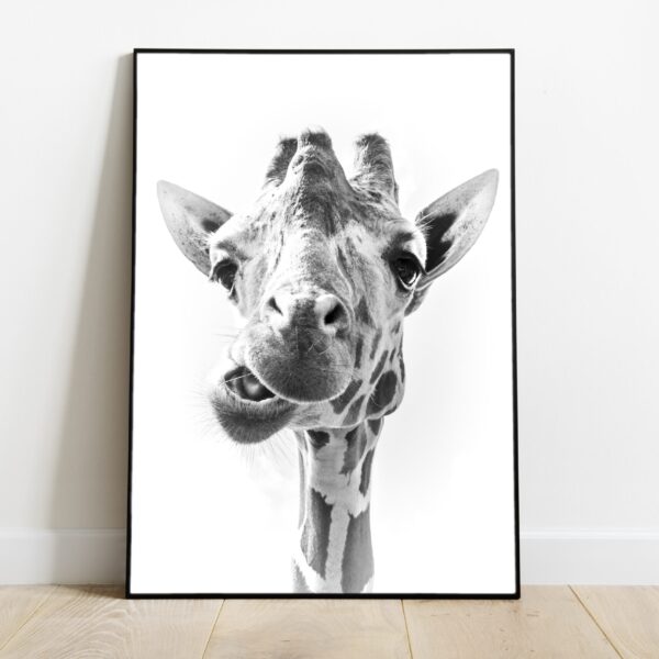 No Image Loomad-Kaelkirjak