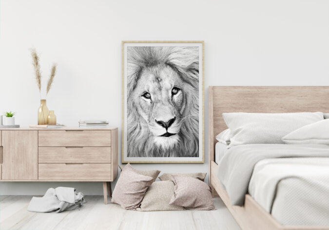 Loomad-Lõvi