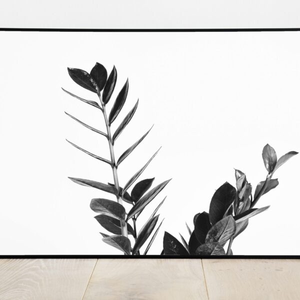 No Image Sulgvõhk musvalge