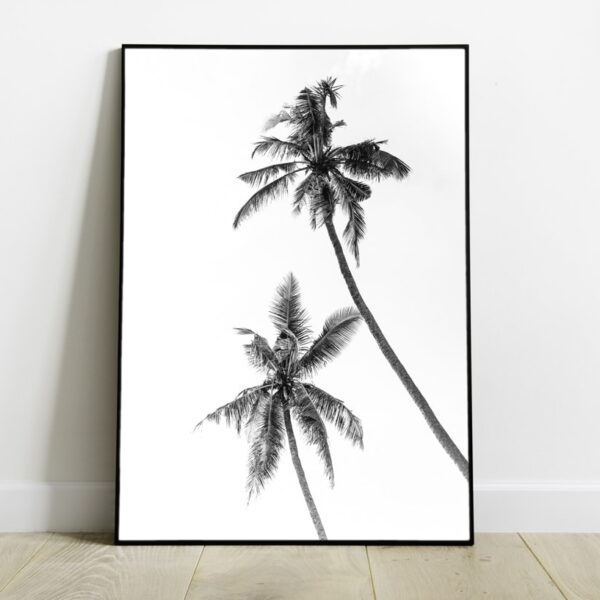 No Image Rand-Palmid