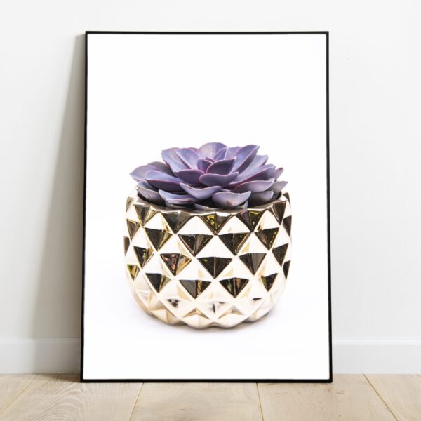 No Image Soomuslehik