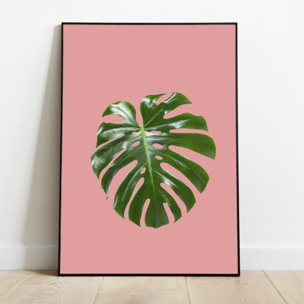 No Image Suur leht roosa taust