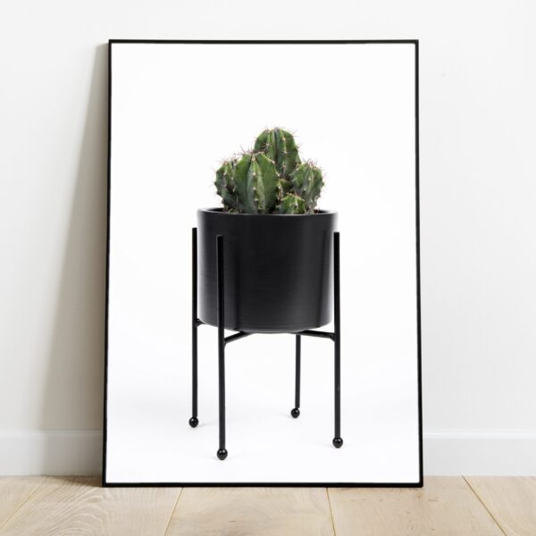 No Image Kaktus mustas lillepotis