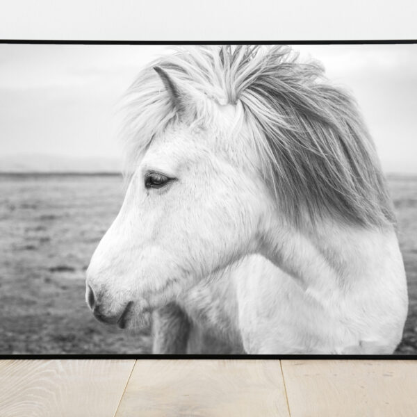 No Image Farm-Hobune