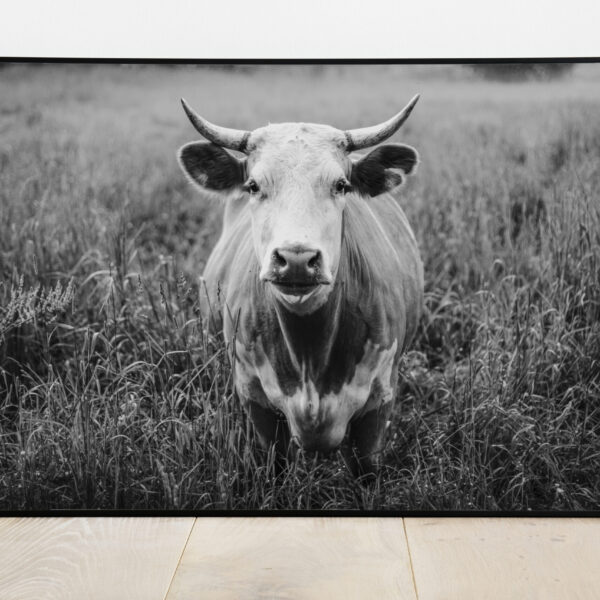 No Image Farm-Lehm mv